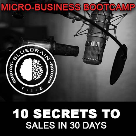 Blue Brain Micro-Business Bootcamp – 10 Secrets to Create, Market and Sell 6 and 7 figure products online