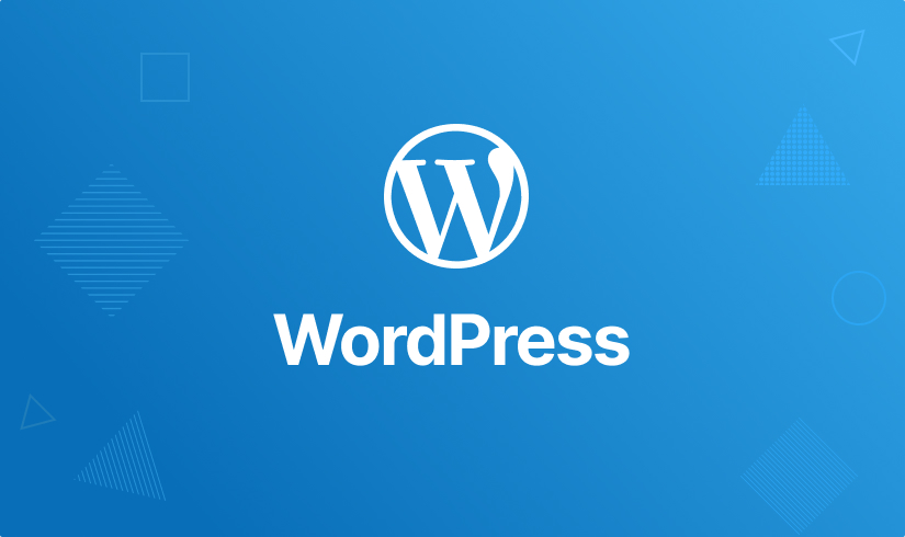 WordPress: complete WordPress theme & plugin development
